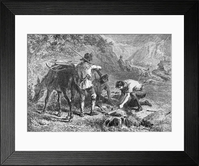 Framed Print : Gold Washing In California