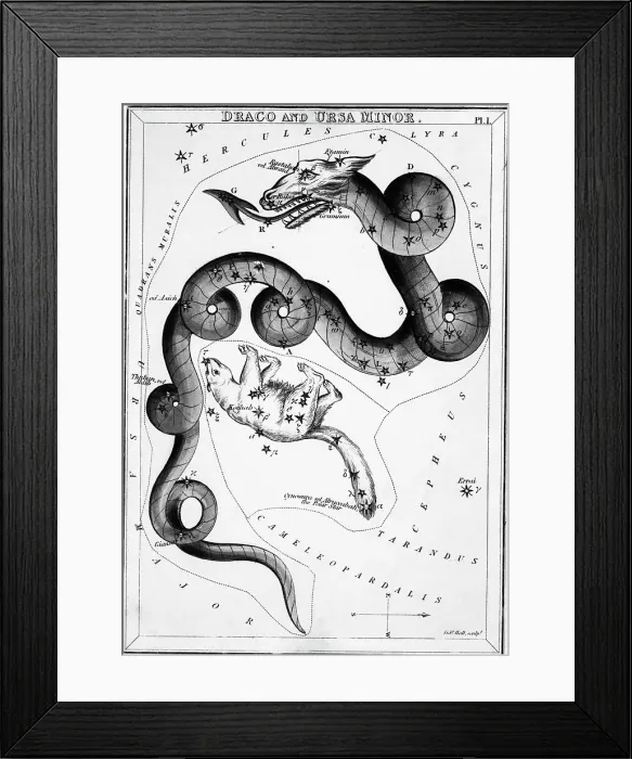 Framed Print : Constellations;Little Bear;Dragon;Engr