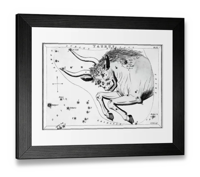 Framed Print : Engraving Of Taurus, Front Half Of Bull Framed Print : Engraving Of Taurus, Front Half Of Bull