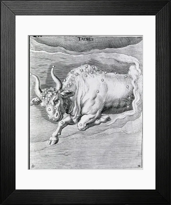 Framed Print : Engraving Of Taurus Framed Print : Engraving Of Taurus