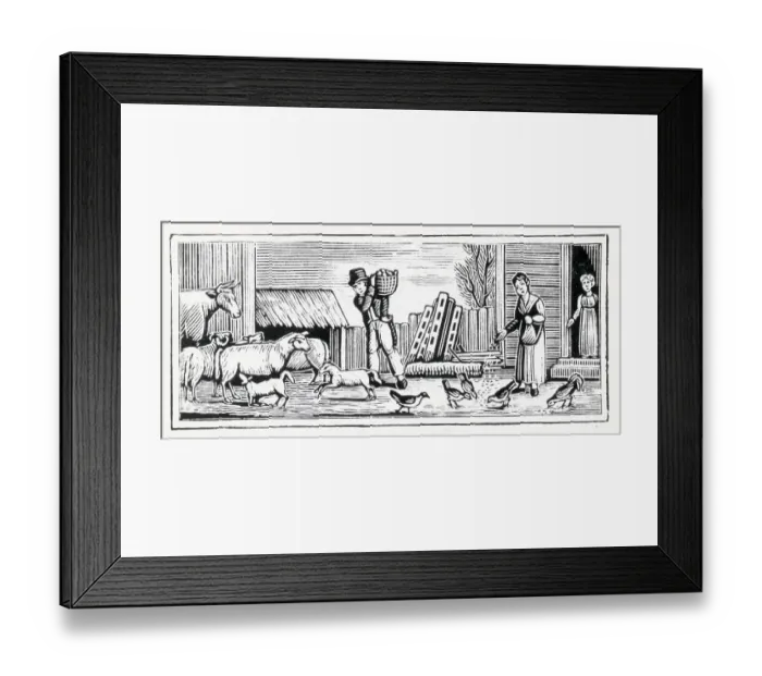 Framed Print : Farmer Feeding Livestock On Farm;Woodcut Framed Print : Farmer Feeding Livestock On Farm;Woodcut