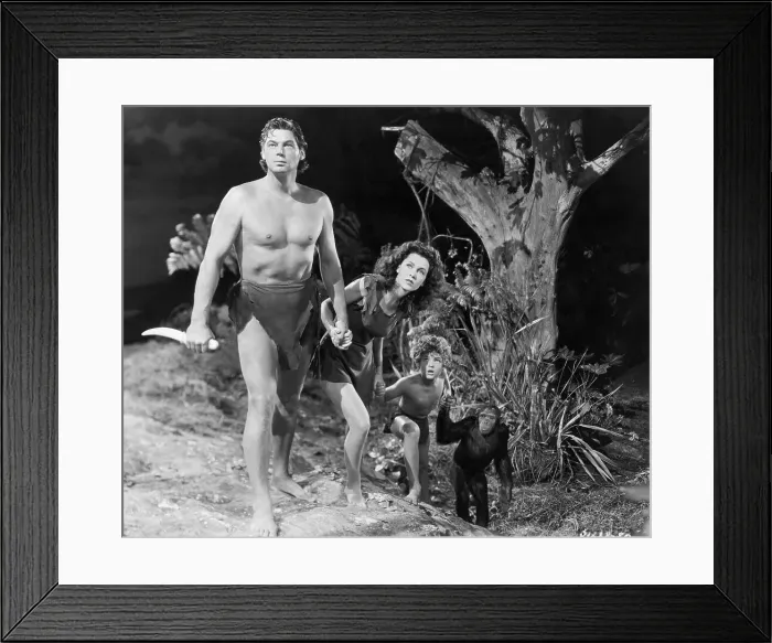 Framed Print : A Scene from Tarzan's New York Adventure Framed Print : A Scene from Tarzan's New York Adventure