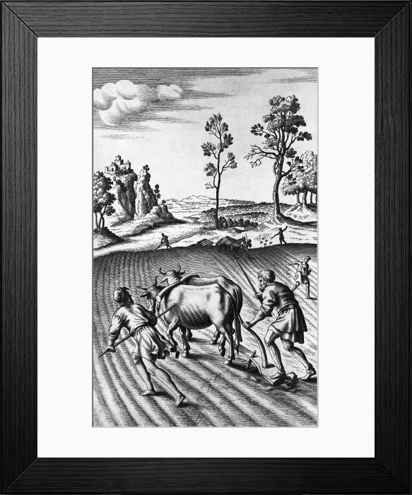 Framed Print : Engraving of Strip Farming by Wenceslaus Hollar Framed Print : Engraving of Strip Farming by Wenceslaus Hollar