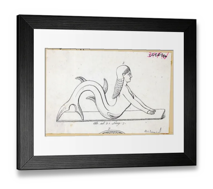 Framed Print : Engraving Of A Mermaid Framed Print : Engraving Of A Mermaid
