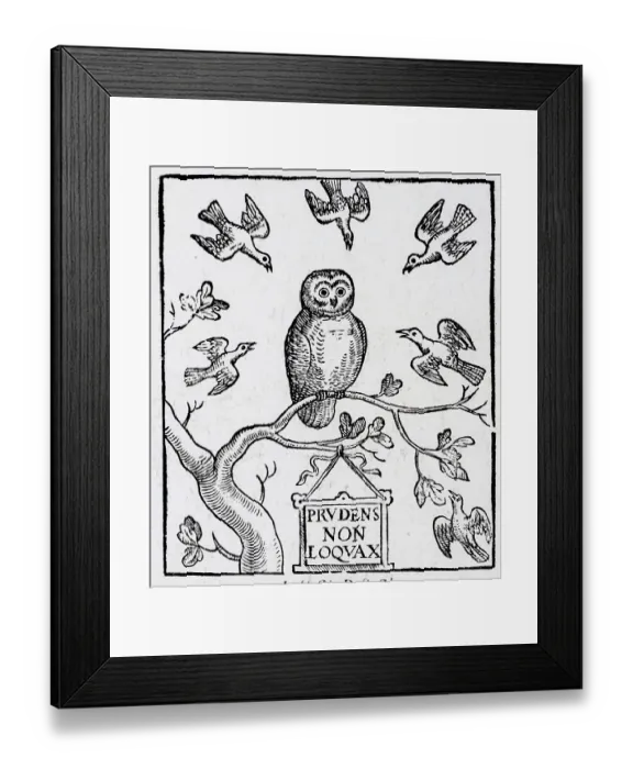 Framed Print : Woodcut Of Title Page With Owl Framed Print : Woodcut Of Title Page With Owl