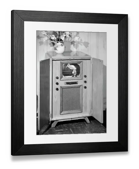 Framed Print : Large Tv Set; Boxer Looking At Camera Framed Print : Large Tv Set; Boxer Looking At Camera