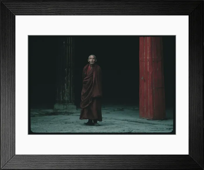 Framed Print : Portrait of Buddhist Monk Framed Print : Portrait of Buddhist Monk