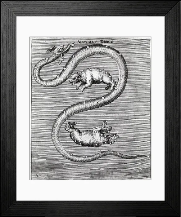 Framed Print : Engraving Draco & Arctoe Constellations