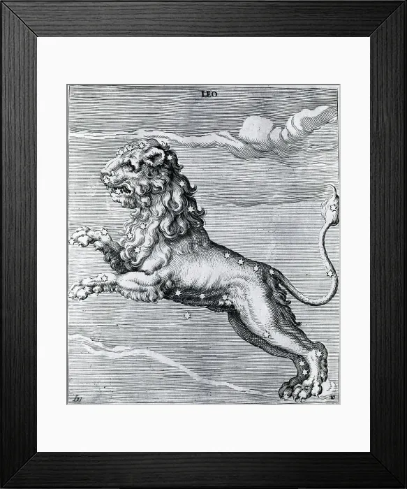 Framed Print : Engraving Of The Lion; Constellation Framed Print : Engraving Of The Lion; Constellation