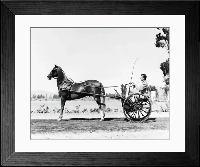 Framed Print : Clark Gable Rides In 1-Man Carriage / Hors Framed Print : Clark Gable Rides In 1-Man Carriage / Hors