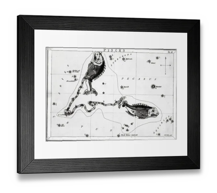 Framed Print : Constellation Pisces; Fish; Engraving Framed Print : Constellation Pisces; Fish; Engraving