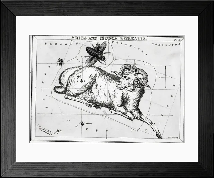 Framed Print : Constellations Aries, Musea Borealis;Engr Framed Print : Constellations Aries, Musea Borealis;Engr