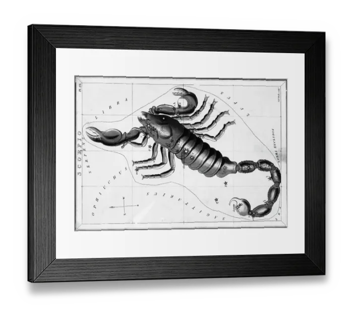 Framed Print : Scorpio Constellation Illustrated on Star Map Framed Print : Scorpio Constellation Illustrated on Star Map