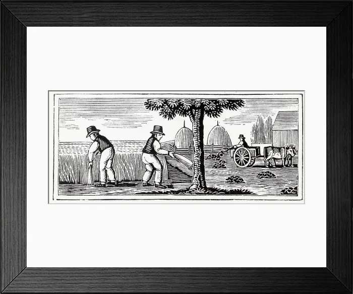 Framed Print : Woodcut Of Farmers Working W / Flax Framed Print : Woodcut Of Farmers Working W / Flax