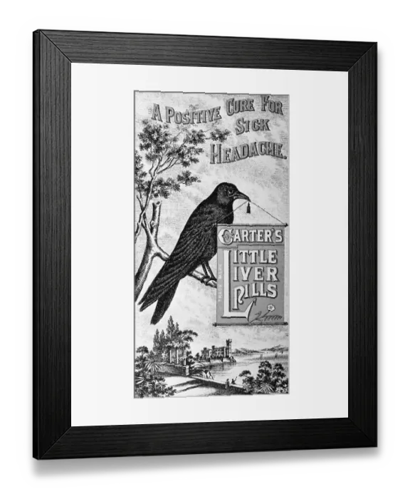 Framed Print : Carter's Little Liver Pills Advertisement Depicting a Crow Framed Print : Carter's Little Liver Pills Advertisement Depicting a Crow