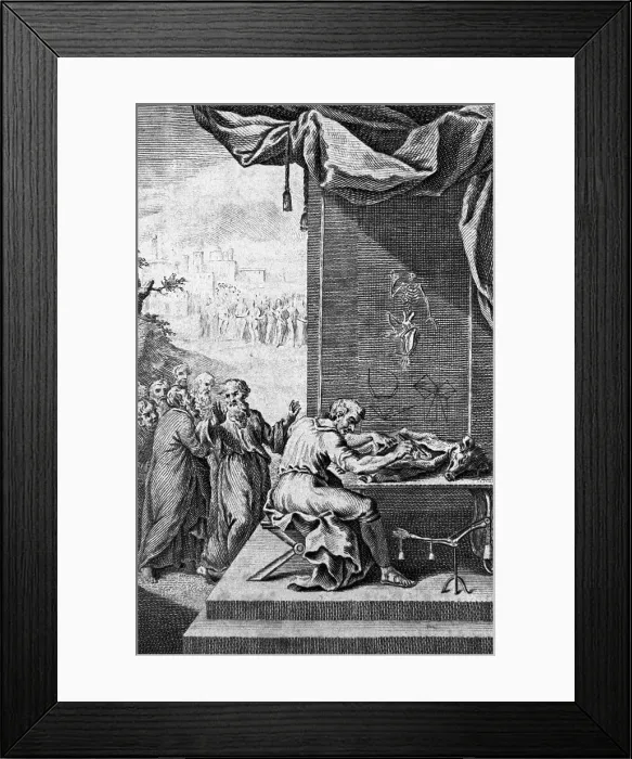 Framed Print : Democritus Treats Patient;Illust.;Hippoc