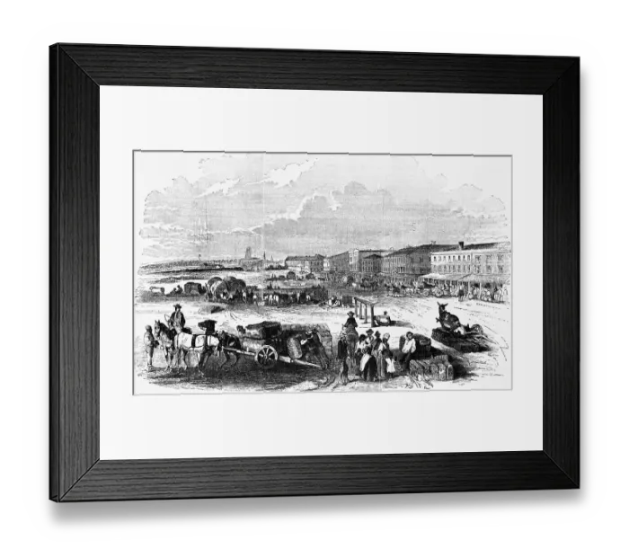 Framed Print : Unloading Cotton Bales; Woodcut Framed Print : Unloading Cotton Bales; Woodcut