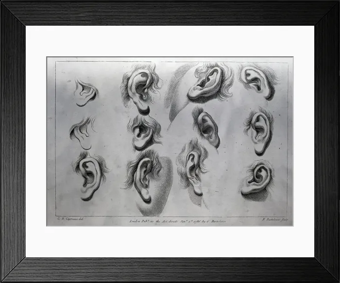 Framed Print : Engravings of Human Ears by Francesco Bartollozi After Giovanni Battista Cipriani