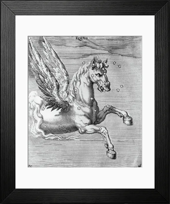 Framed Print : Engraving Of Constellation Equus Framed Print : Engraving Of Constellation Equus