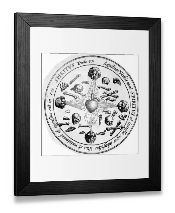 Framed Print : Early Scientific Drawing Of The Heart Framed Print : Early Scientific Drawing Of The Heart