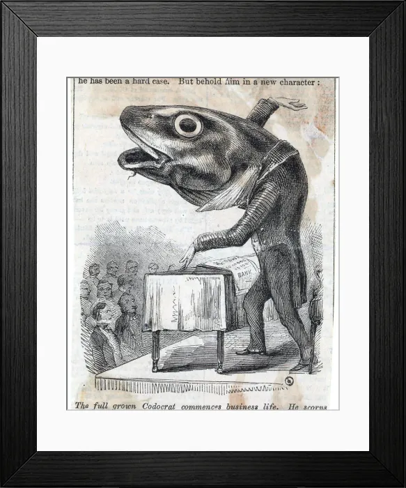 Framed Print : Fishy Orator; Fish In Suit At Podium Framed Print : Fishy Orator; Fish In Suit At Podium