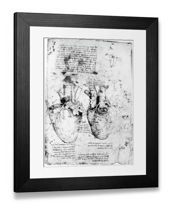 Framed Print : Drawing of the Human Heart and its Blood Vessels by Leonardo da Vinci Framed Print : Drawing of the Human Heart and its Blood Vessels by Leonardo da Vinci