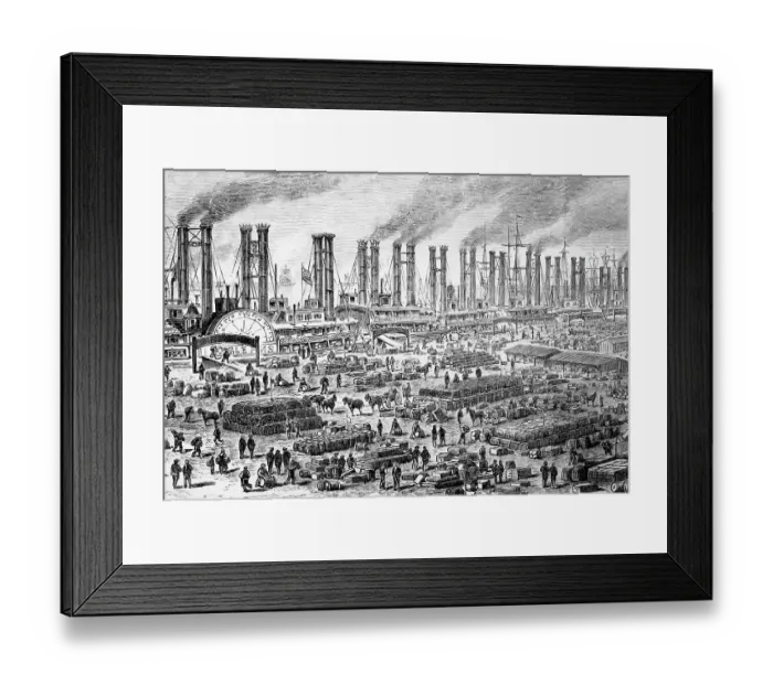 Framed Print : Steamboats at Port of New Orleans Framed Print : Steamboats at Port of New Orleans