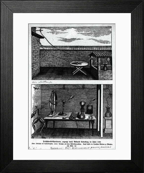 Framed Print : Experiment Showing Animal Magnetism Framed Print : Experiment Showing Animal Magnetism