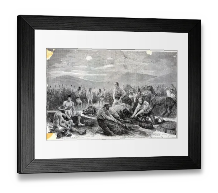 Framed Print : Fishing For Leeches Framed Print : Fishing For Leeches