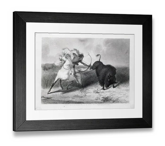 Framed Print : Indian On Horse Shooting Buffalo;Bow / Arr Framed Print : Indian On Horse Shooting Buffalo;Bow / Arr