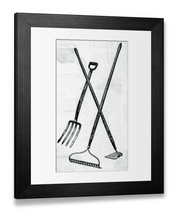 Framed Print : Gardening Tools Framed Print : Gardening Tools
