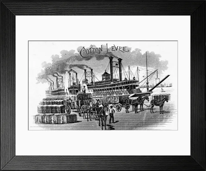 Framed Print : Bales Of Cotton Being Loaded On Steamer Framed Print : Bales Of Cotton Being Loaded On Steamer