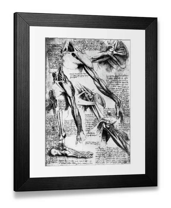 Framed Print : Drawing Studies of Arms, Hands, and Feet by Leonardo da Vinci Framed Print : Drawing Studies of Arms, Hands, and Feet by Leonardo da Vinci