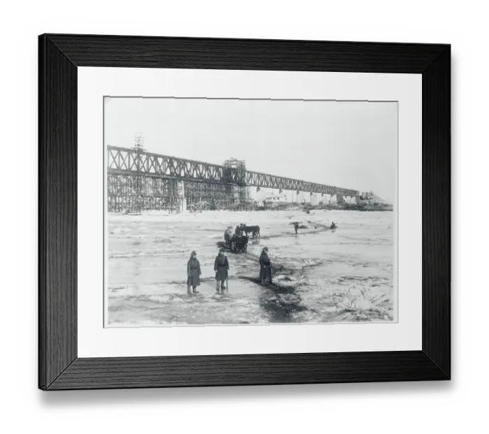 Framed Print : View of Sheep in Japan Framed Print : View of Sheep in Japan