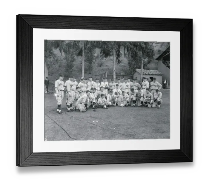 Framed Print : Chicago Cubs Baseball Team Framed Print : Chicago Cubs Baseball Team