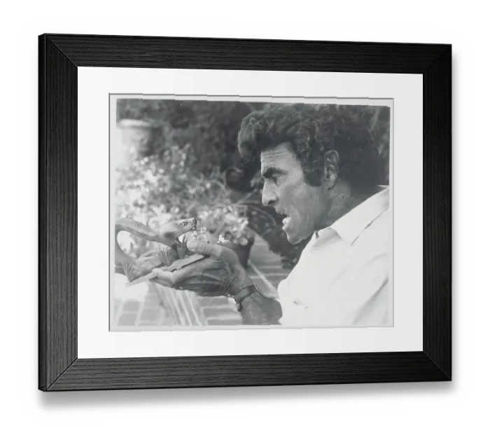 Framed Print : Rod Serling and Fake Snake Framed Print : Rod Serling and Fake Snake