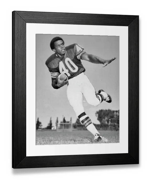 Framed Print : Portrait of the Chicago Bears Gale Sayers Framed Print : Portrait of the Chicago Bears Gale Sayers