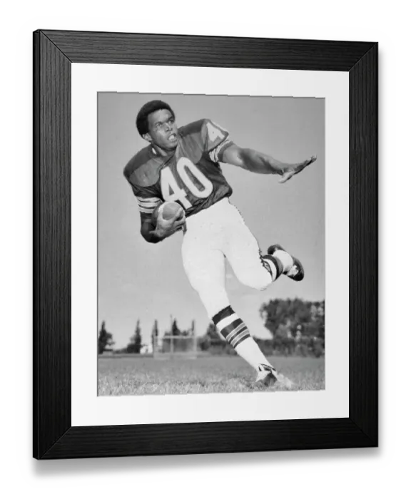 Framed Print : Gale Sayers of the Chicago Bears Making a Running Catch Framed Print : Gale Sayers of the Chicago Bears Making a Running Catch