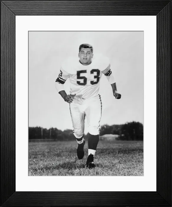 Framed Print : Mick Tingelhoff of Minnesota Vikings on Football Field Framed Print : Mick Tingelhoff of Minnesota Vikings on Football Field