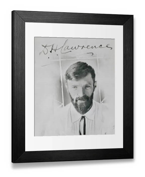 Framed Print : Writer D.H. Lawrence