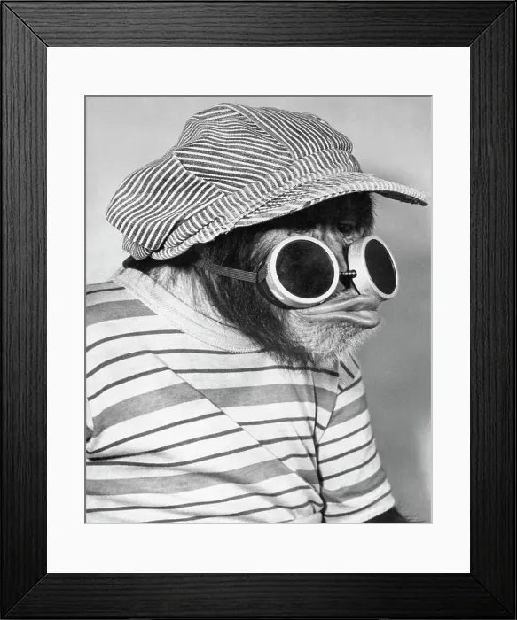 Framed Print : Bonzo Wearing Train Engineer Hat and Goggles Framed Print : Bonzo Wearing Train Engineer Hat and Goggles