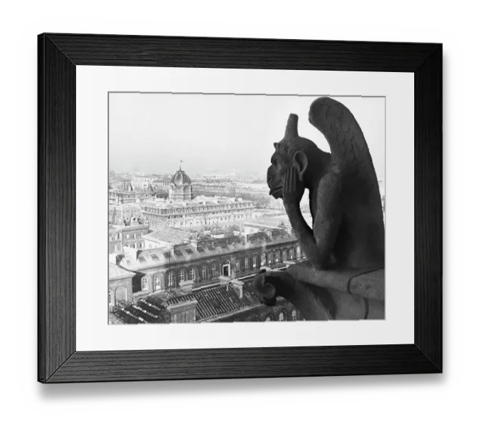 Framed Print : Gargoyle on Notre Dame Cathedral Framed Print : Gargoyle on Notre Dame Cathedral