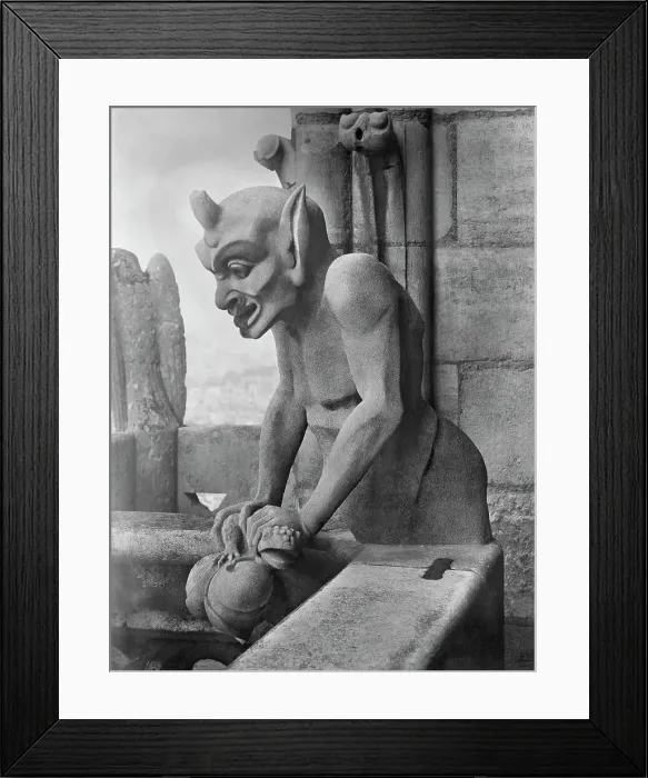 Framed Print : Close-Up Notre Dame Cathedral Gargoyle Framed Print : Close-Up Notre Dame Cathedral Gargoyle