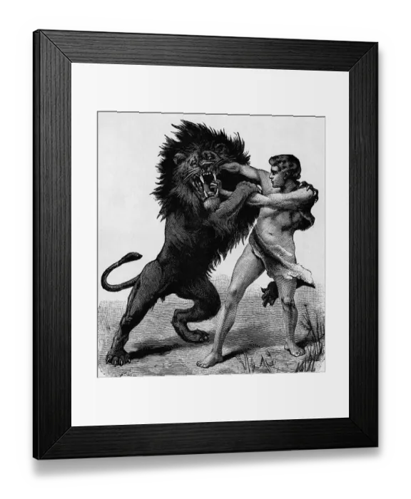 Framed Print : Man Fighting A Lion On Hind Legs;Engravi Framed Print : Man Fighting A Lion On Hind Legs;Engravi