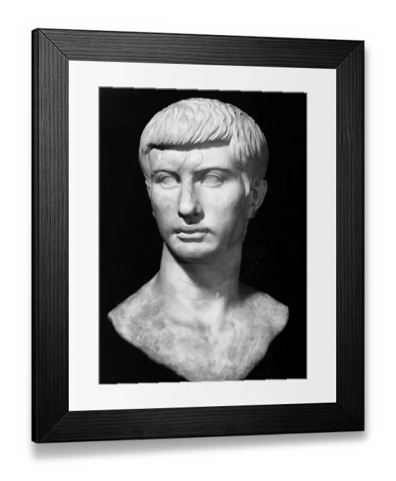 Framed Print : Bust of Brutus Framed Print : Bust of Brutus