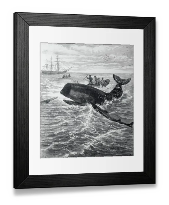 Framed Print : Fishermen Harpooning Sperm Whale Framed Print : Fishermen Harpooning Sperm Whale