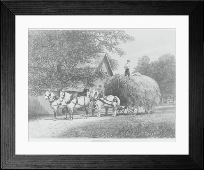 Framed Print : Men Working with Horsedriven Cart of Hay Framed Print : Men Working with Horsedriven Cart of Hay