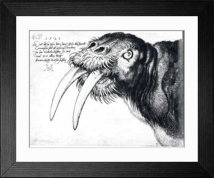 Framed Print : The Walrus Framed Print : The Walrus