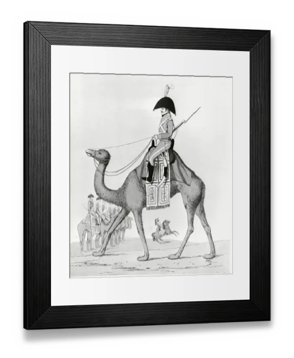 Framed Print : French Battalion Member Riding Camel Framed Print : French Battalion Member Riding Camel