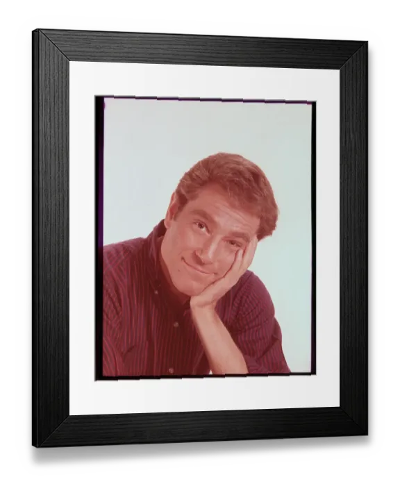 Framed Print : Portrait of George Segal Framed Print : Portrait of George Segal